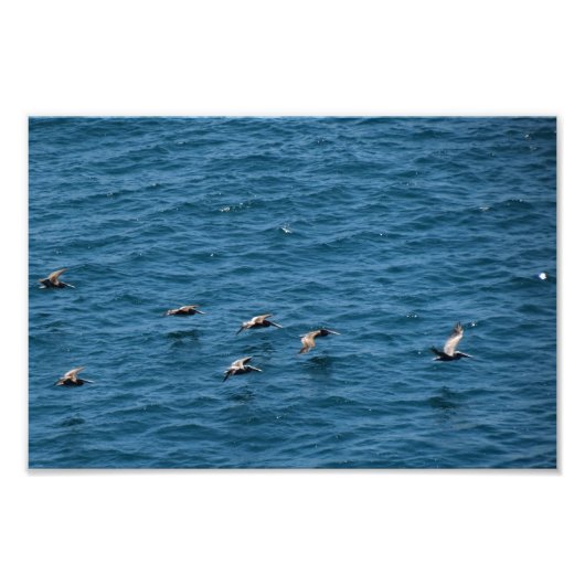 Point Dume Fotodruck (Vorne)