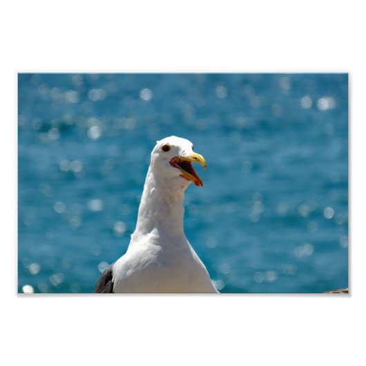 Point Dume Fotodruck (Vorne)
