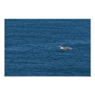 Point Dume Fotodruck