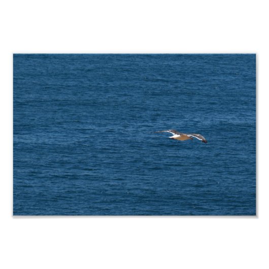 Point Dume Fotodruck (Vorne)