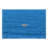 Point Dume Fotodruck (Vorne)