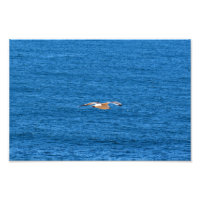 Point Dume