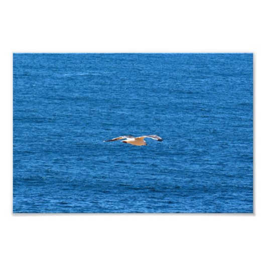 Point Dume Fotodruck (Vorne)