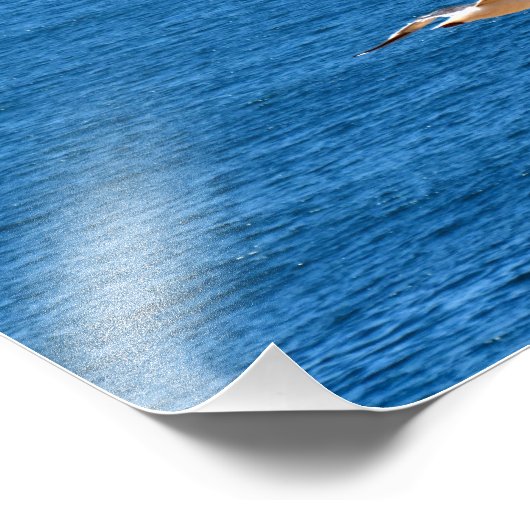 Point Dume Fotodruck (Ecke)