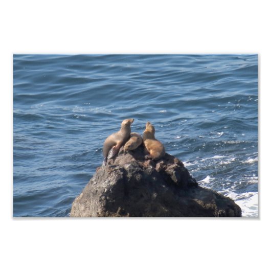 Point Dume Staat Beach Fotodruck (Vorne)