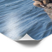 Point Dume Staat Beach Fotodruck (Ecke)