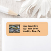Point Jude Cape Codder Fishing Lure Address Label (Insitu)