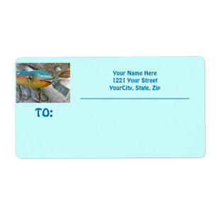 Point Jude Cape Codder Fishing Lure Shipping Label