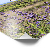 Point Judith Lighthouse, Rhode Island Foto Print (Ecke)