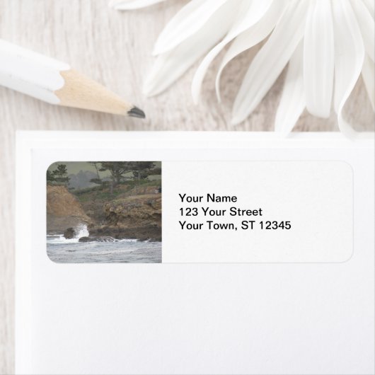 Point Lobos (Insitu)