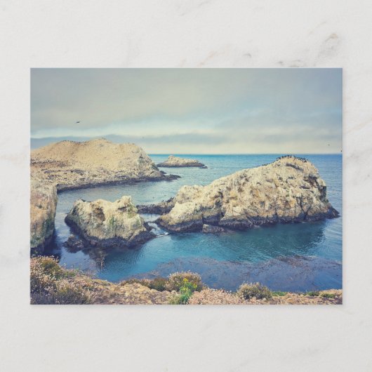 Point Lobos Küstenlandschaft Postkarte (Vorderseite)