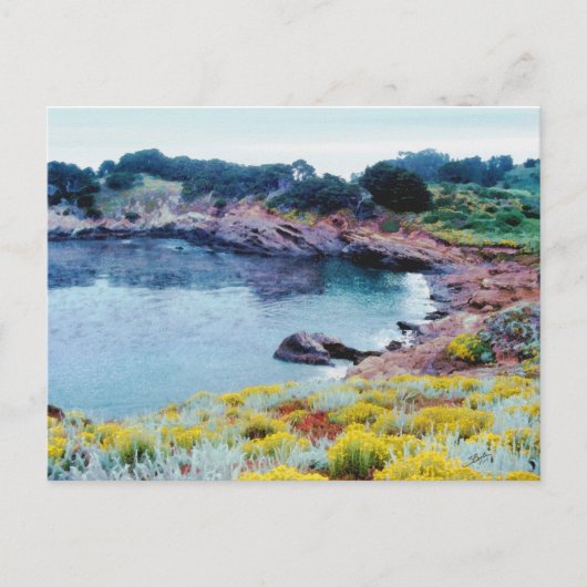 Point Lobos Postkarte (Vorderseite)