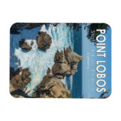 Point Lobos Staat Natural Reserve Kalifornien Magnet (Horizontal)