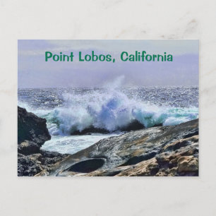 Point Lobos Zentralküste Kalifornien Postkarte