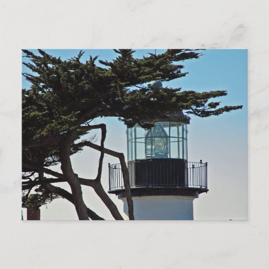 Point Pinos Lighthouse Postkarte (Vorderseite)