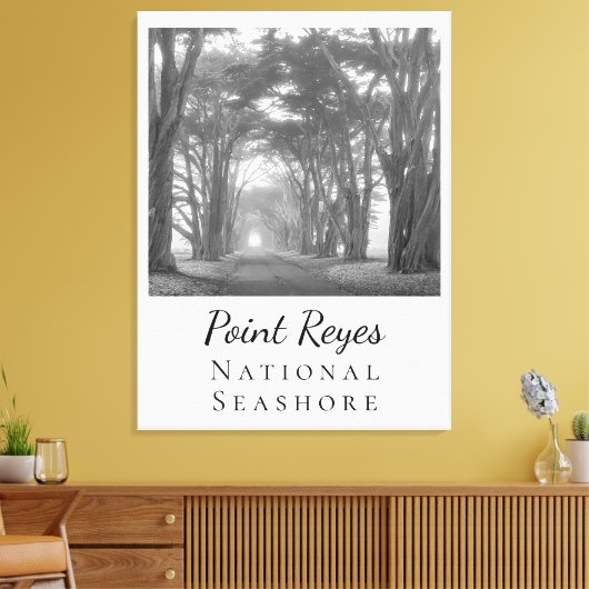 Point Reyes Leinwanddruck (Insitu (Wohnzimmer))