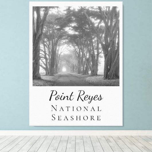 Point Reyes Leinwanddruck (Insitu (Holzboden))