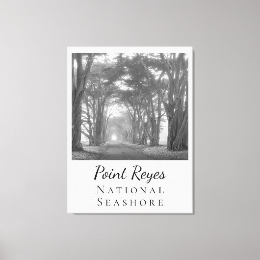 Point Reyes Leinwanddruck (Vorderseite)