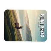 Point Reyes National Seashore Elch Magnet (Horizontal)