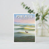 Point Reyes National Seashore Elch Postkarte (Stehend Vorderseite)