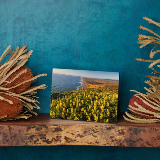 Point Reyes National Seashore Kalifornien Fotoplatte (Seite)