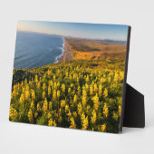 Point Reyes National Seashore Kalifornien Fotoplatte (Seite)