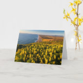 Point Reyes National Seashore Kalifornien Karte (Gelbe Blume)