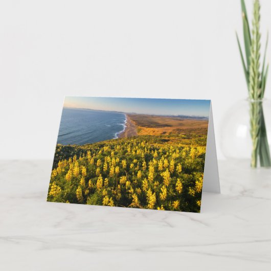 Point Reyes National Seashore Kalifornien Karte (Vorderseite)