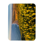 Point Reyes National Seashore Kalifornien Magnet (Vertikal)