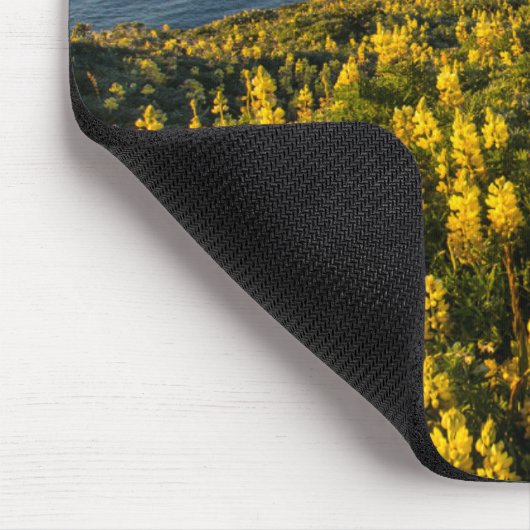 Point Reyes National Seashore Kalifornien Mousepad (Ecke)