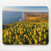 Point Reyes National Seashore Kalifornien Mousepad (Vorne)