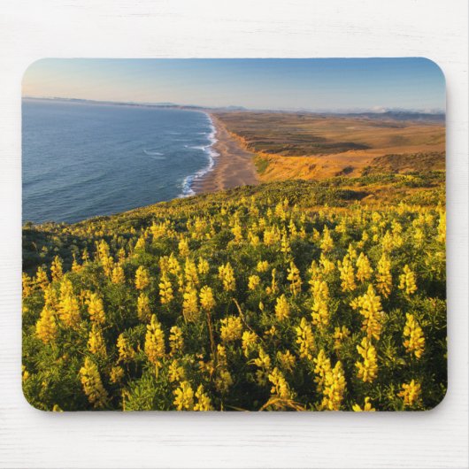 Point Reyes National Seashore Kalifornien Mousepad (Vorne)