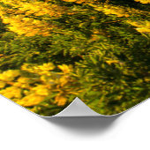 Point Reyes National Seashore Kalifornien Poster (Ecke)