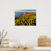 Point Reyes National Seashore Kalifornien Poster (Küche)