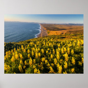 Point Reyes National Seashore Kalifornien Poster
