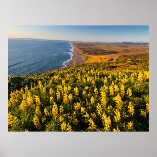 Point Reyes National Seashore Kalifornien Poster (Vorne)