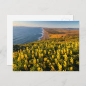 Point Reyes National Seashore Kalifornien Postkarte (Vorne/Hinten)