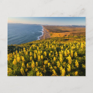 Point Reyes National Seashore Kalifornien Postkarte