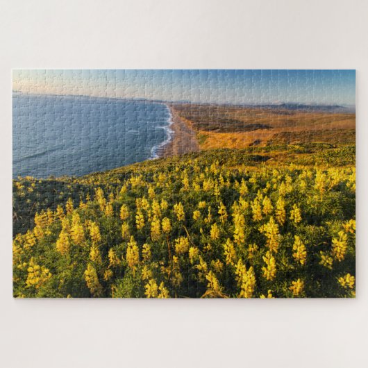 Point Reyes National Seashore Kalifornien Puzzle (Horizontal)