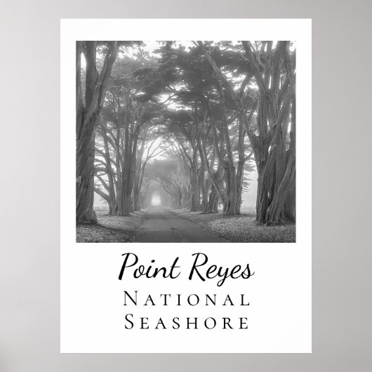 Point Reyes Poster (Vorne)