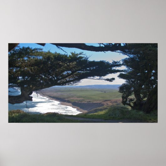 Point Reyes unter Trees Poster (Vorne)