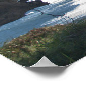 Point Reyes unter Trees Poster (Ecke)