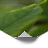Point the Way Poster (Ecke)