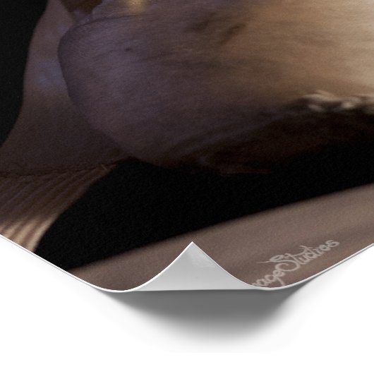 Pointe (Ballett) Schuhe Poster (Ecke)