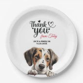 Pointer Dog Pappteller (Vorderseite)