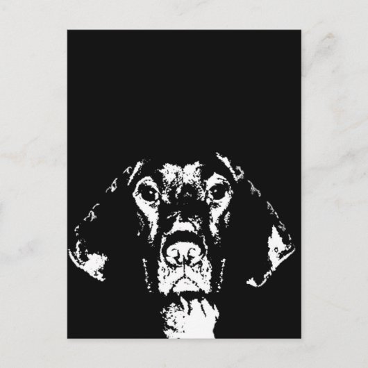 Pointer Gifts - Postkarte (Vorderseite)