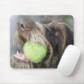 Pointer Hund beißt Tennisball, nah-up Mousepad (Mit Mouse)