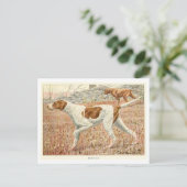 Pointer-Hunde-Postkarte Postkarte (Stehend Vorderseite)