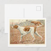 Pointer-Hunde-Postkarte Postkarte (Vorne/Hinten)