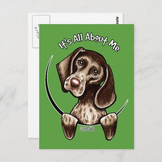 Pointer IAAM Postkarte (Vorne/Hinten)